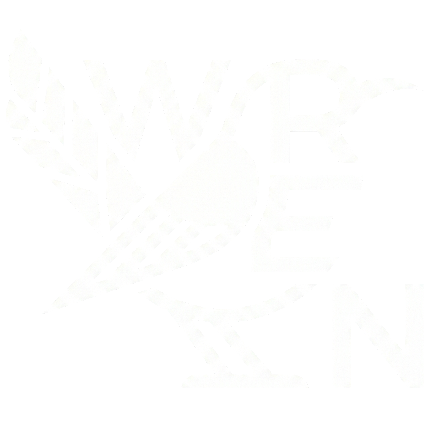 A wren